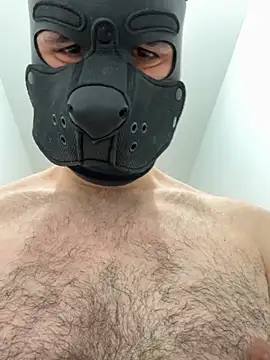 FrenchCamDog online show from April 6, 2026, 2:29 pm