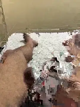 cum4mheaven online show from March 22, 2026, 6:48 am