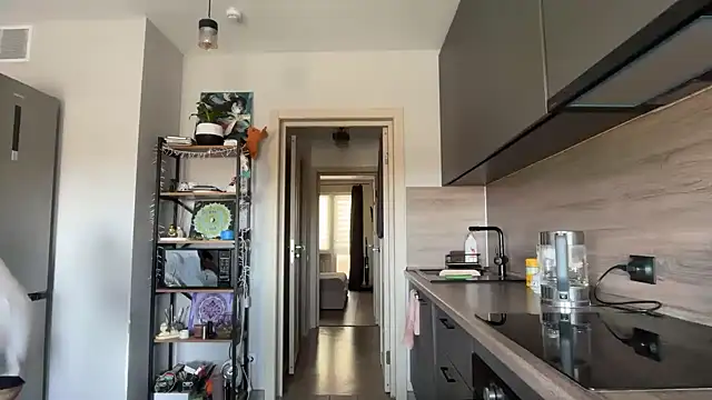 jainesummer online show from April 8, 2026, 9:22 am