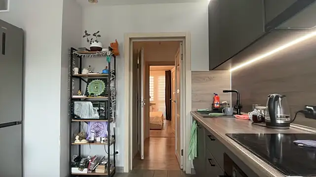 jainesummer online show from October 15, 2025, 8:55 am