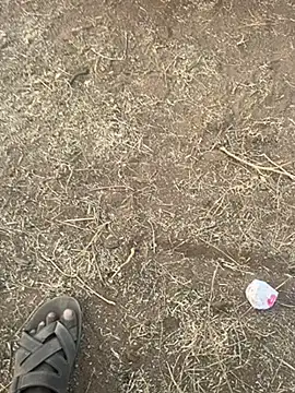 Snapshot of tamil000000 chatting on March 10, 2025, 12:49 pm tamil000000 online show from March 10, 2025, 12:49 pm