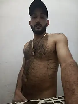 Snapshot of arqui009 chatting on February 5, 2026, 3:13 am arqui009 online show from February 5, 2026, 3:13 am