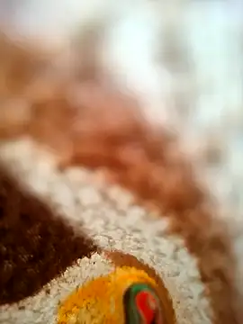 Snapshot of Sanjaysharmarbl chatting on December 2, 2024, 6:26 am Sanjaysharmarbl online show from December 2, 2024, 6:26 am