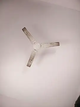 Snapshot of Sanjaysharmarbl chatting on February 4, 2025, 6:36 am Sanjaysharmarbl online show from February 4, 2025, 6:36 am