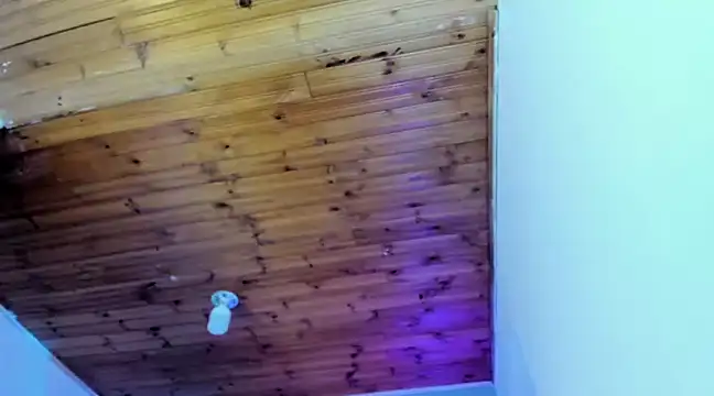 Namiko Park online show from January 30, 2025, 4:02 pm