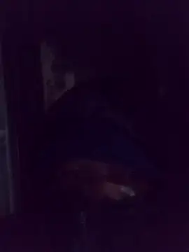 Snapshot of AquaticPlosion chatting on March 2, 2026, 1:39 am AquaticPlosion online show from March 2, 2026, 1:39 am