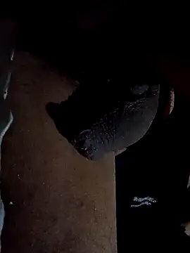 Snapshot of GaMeCrAc1 chatting on September 29, 2025, 10:33 am GaMeCrAc1 online show from September 29, 2025, 10:33 am