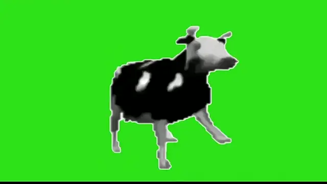 Snapshot of awesome_anna chatting on February 13, 2026, 10:59 am awesome anna online show from February 13, 2026, 10:59 am