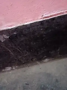 Snapshot of ScopalOr chatting on February 3, 2025, 7:40 am ScopalOr online show from February 3, 2025, 7:40 am