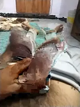 PracticalGum40 online show from April 9, 2026, 6:03 pm