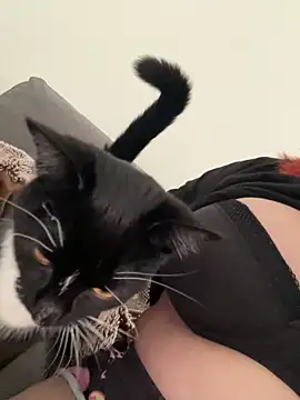 SoshyBaby online show from February 15, 2025, 9:49 am