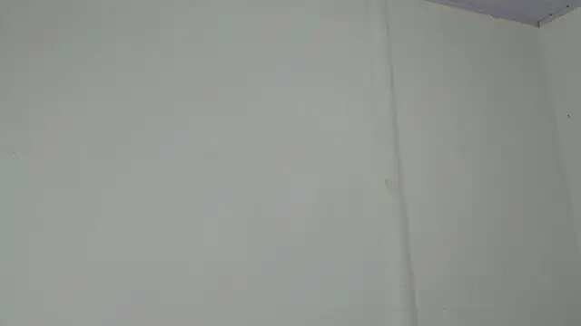 Snapshot of Amir_mikelsen chatting on February 13, 2026, 6:19 pm Amir mikelsen online show from February 13, 2026, 6:19 pm