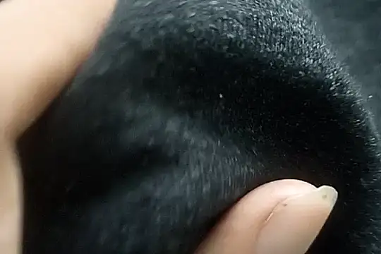 Snapshot of Telugu_sollakaya chatting on December 2, 2024, 6:38 pm Telugu sollakaya online show from December 2, 2024, 6:38 pm