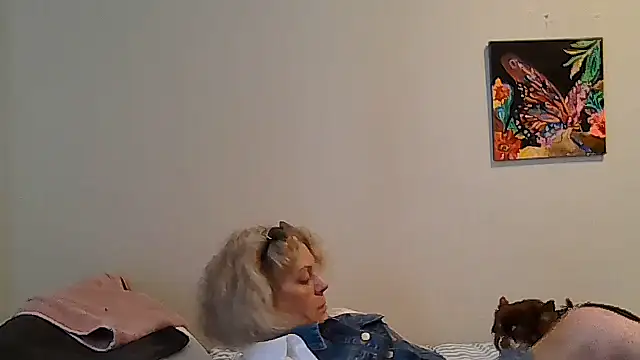 housewife shantie online show from May 6, 2026, 11:03 am