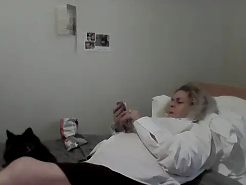 housewife shantie online show from February 1, 2026, 11:52 am