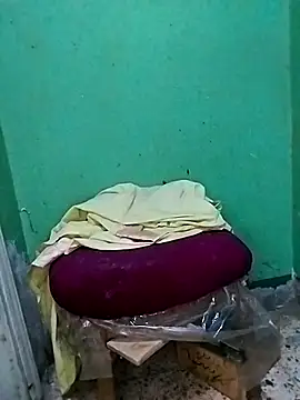 LOOLOOO123123 online show from February 11, 2026, 1:55 pm