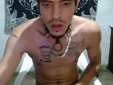 Snapshot of tayler_punk_noise chatting on December 27, 2024, 7:14 pm tayler punk noise online show from December 27, 2024, 7:14 pm