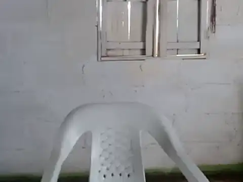 Snapshot of tayler_punk_noise chatting on December 31, 2024, 3:42 pm tayler punk noise online show from December 31, 2024, 3:42 pm