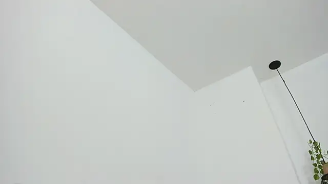 RaidenBoy1 online show from February 5, 2025, 8:35 pm