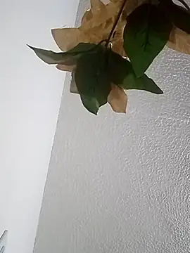 Snapshot of Naomy_veracruz_ chatting on February 13, 2026, 10:59 am Naomy veracruz online show from February 13, 2026, 10:59 am