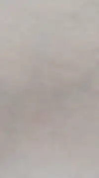 Lorrain Dorrie online show from March 4, 2025, 5:11 am