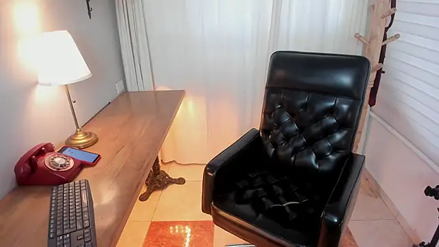 Pamela Johnsonn online show from February 25, 2026, 5:46 pm