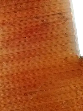 Snapshot of Darly_Gomez chatting on March 1, 2025, 4:00 pm Darly Gomez online show from March 1, 2025, 4:00 pm