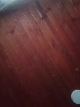 Snapshot of Darly_Gomez chatting on March 3, 2025, 10:10 pm Darly Gomez online show from March 3, 2025, 10:10 pm