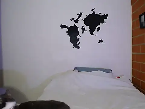 Snapshot of aria_jhonsson chatting on February 1, 2026, 5:17 am aria jhonsson online show from February 1, 2026, 5:17 am