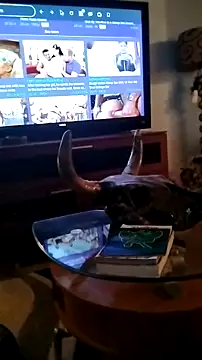 Analgapingspecialist71269 online show from January 15, 2026, 3:48 pm