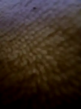 Snapshot of houy111111 chatting on February 3, 2026, 5:51 pm houy111111 online show from February 3, 2026, 5:51 pm