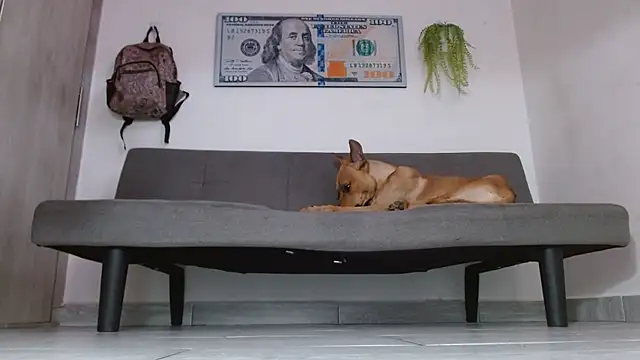 boss of cash online show from May 31, 2026, 6:09 pm