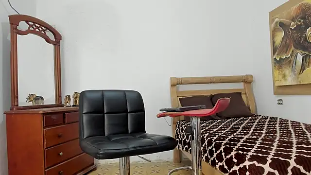 Snapshot of mr_stiven_ chatting on February 22, 2026, 2:47 am mr stiven online show from February 22, 2026, 2:47 am