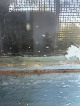 Hillz king 98 online show from February 11, 2025, 9:20 am