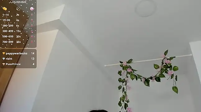 Snapshot of Ninna--1 chatting on January 12, 2025, 6:59 pm Ninna--1 online show from January 12, 2025, 6:59 pm