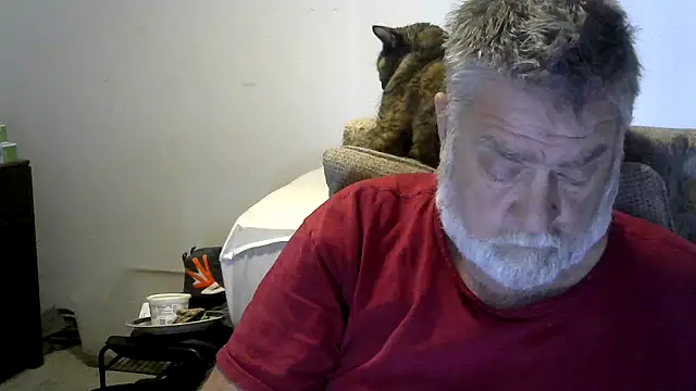 viejo oso online show from November 30, 2025, 4:08 pm