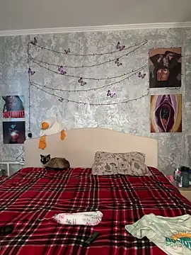 Sabrina shells online show from December 20, 2025, 1:03 pm