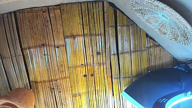 MarcoVitto online show from November 23, 2025, 7:13 pm