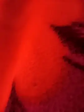 biharihot online show from December 21, 2025, 5:36 pm