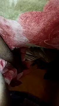 biharihot online show from December 31, 2024, 4:57 pm