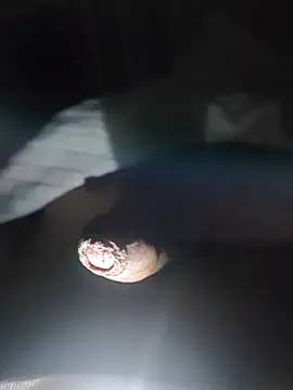 droguitin23 online show from February 15, 2025, 2:15 am