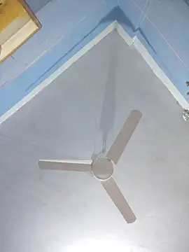 124pakhi online show from March 14, 2026, 1:11 am