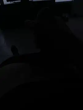 Snapshot of coreyl9718 chatting on February 13, 2025, 4:39 pm coreyl9718 online show from February 13, 2025, 4:39 pm