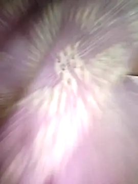 priyancyfun online show from November 19, 2025, 4:51 pm