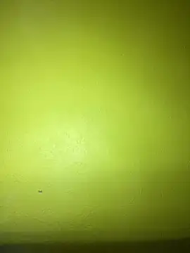 triplebeast online show from January 23, 2025, 10:54 pm