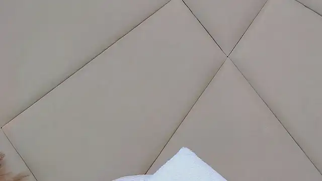 Snapshot of RubyLuxee chatting on March 12, 2025, 6:07 am RubyLuxee online show from March 12, 2025, 6:07 am