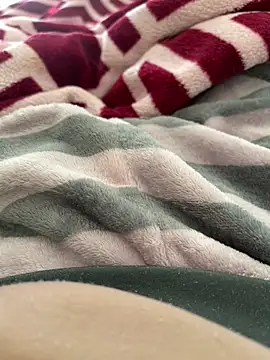 BCFZD online show from November 19, 2025, 11:10 am