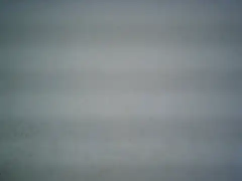 michel1520 online show from June 14, 2026, 6:53 pm