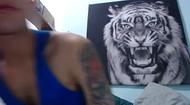 Snapshot of dany_hardy chatting on February 4, 2025, 4:15 am dany hardy online show from February 4, 2025, 4:15 am