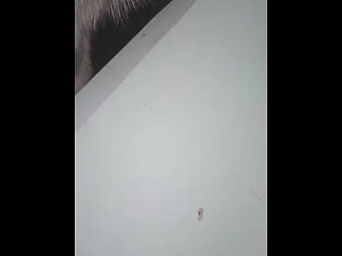 Snapshot of dany_hardy chatting on January 10, 2026, 10:05 pm dany hardy online show from January 10, 2026, 10:05 pm